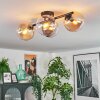 Gastor Taklampa, kullampa Amber, Klart, Rökfärger, 4-ljuskällor