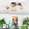 Koyoto Taklampa, kullampa Amber, Klart, 4-ljuskällor