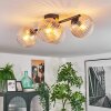 Koyoto Taklampa, kullampa Amber, Klart, 4-ljuskällor