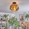 Ripoll Taklampa, kullampa Guld, Klart, 1-ljuskällor