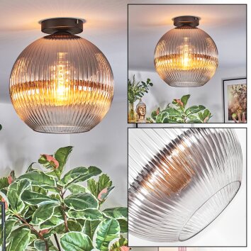 Koyoto Taklampa, kullampa 30 cm Klart, Rökfärger, 1-ljuskällor