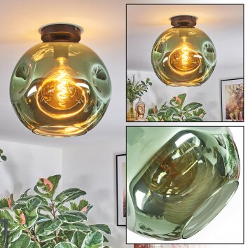 Ripoll Taklampa, kullampa Grön, 1-ljuskällor