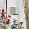 Tamarin vägglampa utomhus, Up & Down Lampa, Vägglampa LED Beige, 2-ljuskällor
