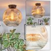 Ripoll Taklampa, kullampa Amber, Klart, 1-ljuskällor