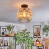 Ripoll Taklampa, kullampa Amber, Klart, 1-ljuskällor