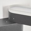 Fanek vägglampa utomhus, Up & Down Lampa, Vägglampa LED Antracit, 2-ljuskällor