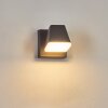 Fanel vägglampa utomhus, Vägglampa, Väggspotlight LED Antracit, 1-ljuskällor