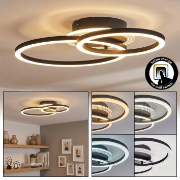 Marek Taklampa LED Svart, 1-ljuskällor