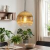 Koyoto Pendellampa, kullampa, Pendelbelysning Guld, Klart, 1-ljuskällor