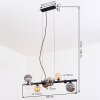 Chehalis Pendellampa, kullampa, Pendelbelysning Amber, Klart, Rökfärger, 8-ljuskällor