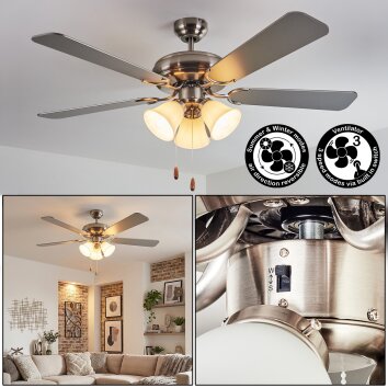 Stelo Taklampa, Takfläkt med belysning Naturfärger, Nickel matt, Silver, 3-ljuskällor