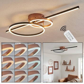 Goren Taklampa LED Kopparfärg, Svart, 1-ljuskällor