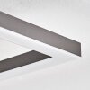 Hadel Taklampa LED Grått, Vit, 1-ljuskällor