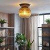 Koyoto Taklampa, kullampa 26 cm Guld, Klart, 1-ljuskällor