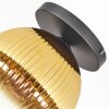 Koyoto Taklampa, kullampa 26 cm Guld, Klart, 1-ljuskällor