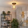 Koyoto Taklampa, kullampa 30 cm Klart, 1-ljuskällor