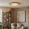 Lidor Taklampa LED Guld, Kopparfärg, Svart, 1-ljuskällor, Fjärrkontroll