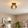 Koyoto Taklampa, kullampa 30 cm Klart, Rökfärger, 1-ljuskällor