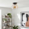Koyoto Taklampa, kullampa 30 cm Amber, Klart, 1-ljuskällor