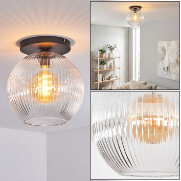 Koyoto Taklampa, kullampa 30 cm Klart, 1-ljuskällor