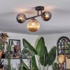 Chehalis Taklampa, kullampa Amber, Krom, Rökfärger, 3-ljuskällor
