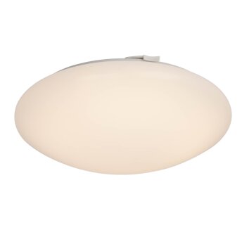 AEG Basic Taklampa, Vägg- och taklampor LED Vit, 1-ljuskällor