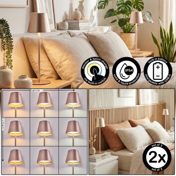 Salgadinho Bordslampa utomhus, Bordslampa LED Champagne Färger, 1-ljuskällor