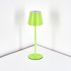Salgadinho Bordslampa utomhus, Bordslampa LED Grön, 1-ljuskällor