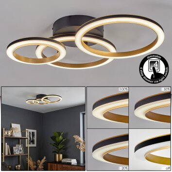 Tulor Taklampa LED Svart, 1-ljuskällor