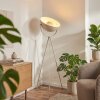 Kilan Golvlampa Sandfärgad, 1-ljuskällor