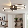 Koman Taklampa LED Svart, 1-ljuskällor