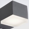 AEG Amity Vägglampa LED Antracit, 1-ljuskällor