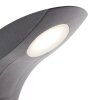 AEG Brynna Vägglampa LED Antracit, 1-ljuskällor