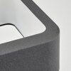 Faren vägglampa utomhus, Up & Down Lampa, Vägglampa LED Antracit, 1-ljuskällor