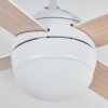 Lenok Takfläkt med belysning LED Vit, 1-ljuskällor, Fjärrkontroll