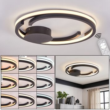 Miral LED taklampa med fjärrkontroll, rund dimbar plafond 48 cm