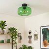 Boza plafond med grön glasskärm, rund retro taklampa Ø 28 cm