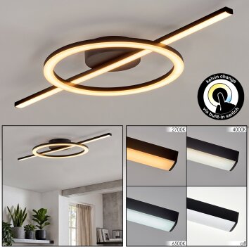 LED taklampa Nemil ring/stav, 2700 varmvit, 4000 neutralvit, 6500 dagsljusvit Kelvin