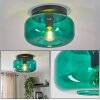 Modern rund taklampa Boza med mörkgrön glasskärm, ø 28 cm, E27 med metallgestell