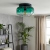 Boza taklampa med mörkgrön tonad glasskärm, rund plafond Ø 28 cm