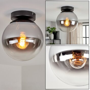 Gastor plafond med rökfärgad glaskupa, rund taklampa i retrostil för hall