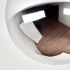Gastor rökglas taklampa med rund globskärm, E27 för hall och sovrum