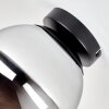 Gastor rökglas taklampa med rund globskärm, E27 för hall och sovrum