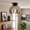 Gastor rökglas taklampa som rund plafond med glasglob i retrostil för vardagsrum