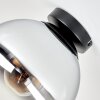 Gastor rökglas taklampa som rund plafond med glasglob i retrostil för vardagsrum