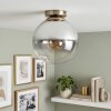 Taklampa Gastor plafond med rökfärgad glaskupa, E27, modern retrodesign