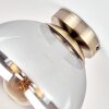 Gastor taklampa plafond med rökfärgad glaskupa i mässing, E27