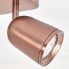 Lemak kopparfärgad LED takspot, 2-lågig taklampa med vridbara spotlights