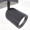 Lemak LED takspot med 2 ljuspunkter, vridbara cylindriska huvuden, modern