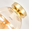 Gastor plafond taklampa med rund globform, E27 för vardagsrum och hall